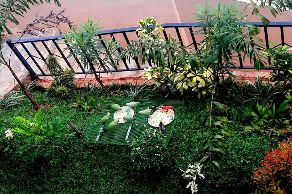 Saru Holiday Apartment - Upto 6 Guests Kandy Exteriör bild